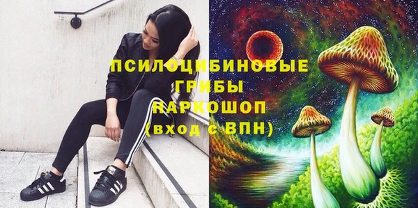 MDMA Premium VHQ Козельск