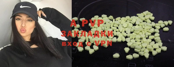 PSILOCYBIN Киренск