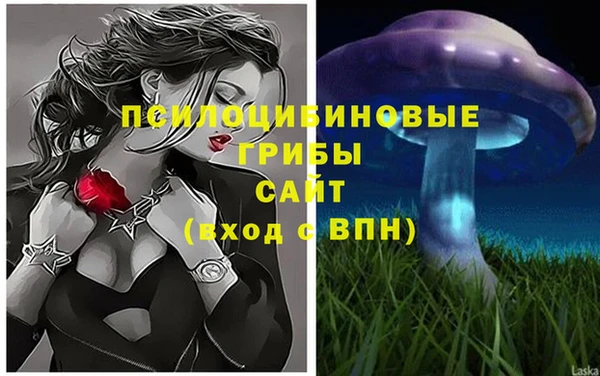 PSILOCYBIN Киренск